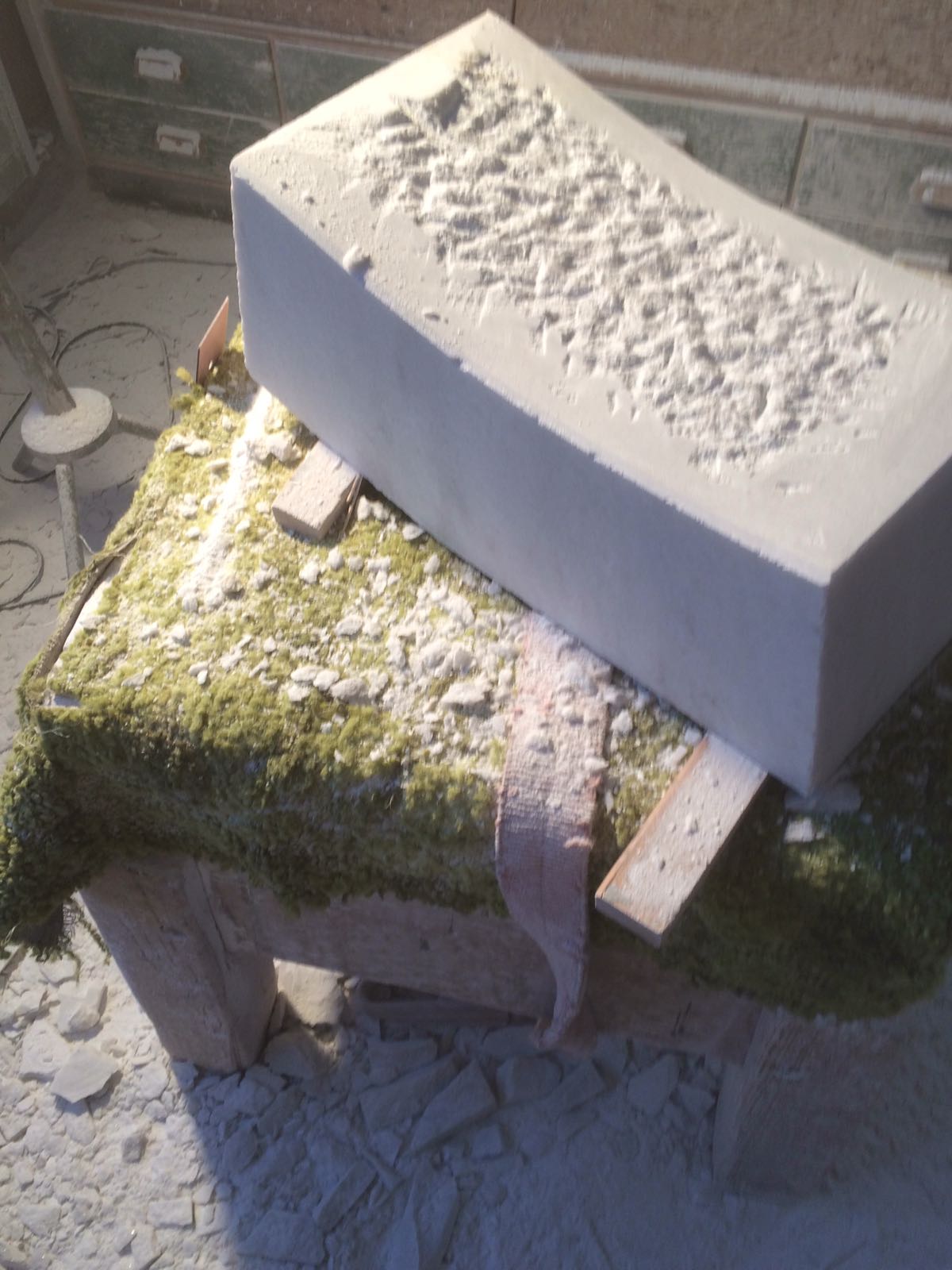 Stein